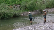 PIC_7031 (1)
